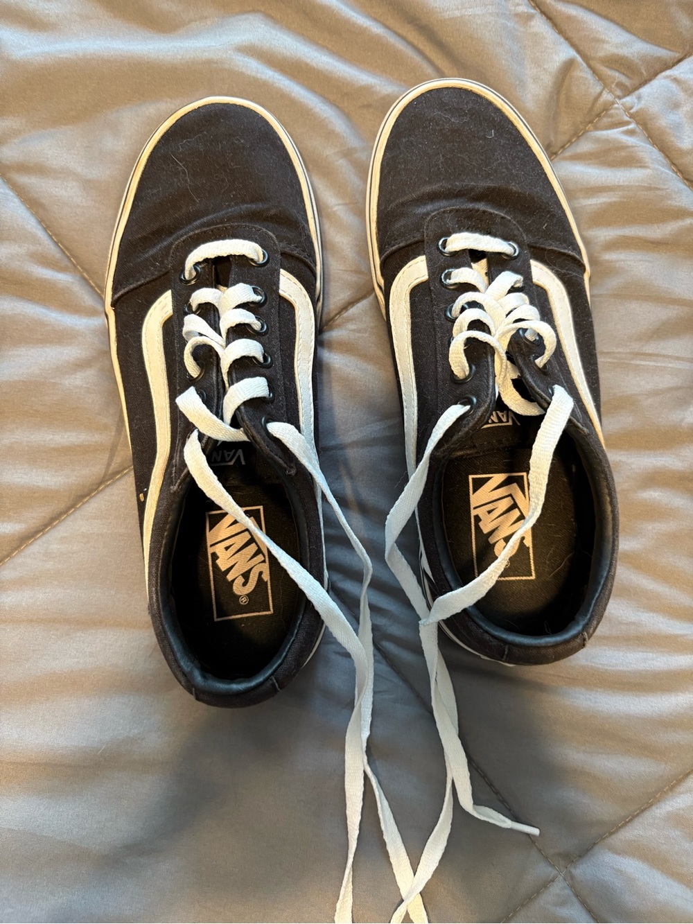 Vans Black and White Low-Top Sneakers